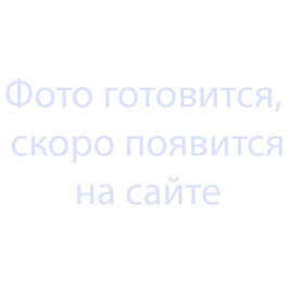 Шестерня для блинного аппарата РК-2.1 универсального типа 