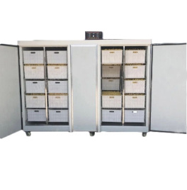 Проращиватель семян, бобов, злаков BSC-600A Foodatlas