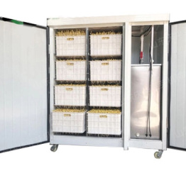 Проращиватель семян, бобов, злаков BSC-100A Foodatlas